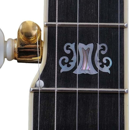GHS PF145 Banjo Saiten 5-String Edelstahl Loop End Medium Light Set Saiten/Seite